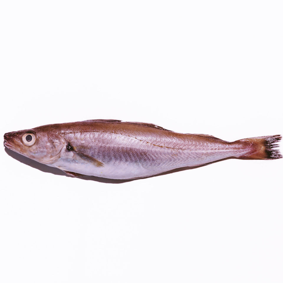 WHITING WHOLE